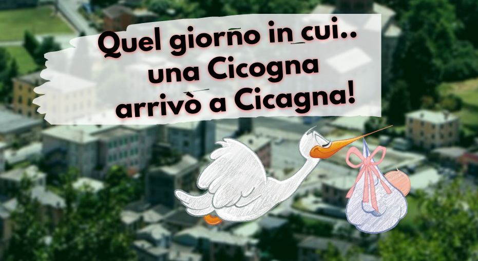 Cicagna, storia della Cicogna