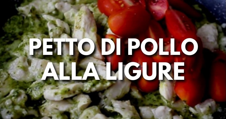 petto di pollo