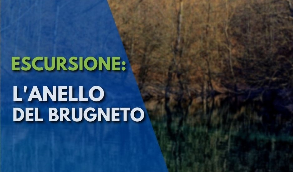 Lago del Brugneto, sentieri