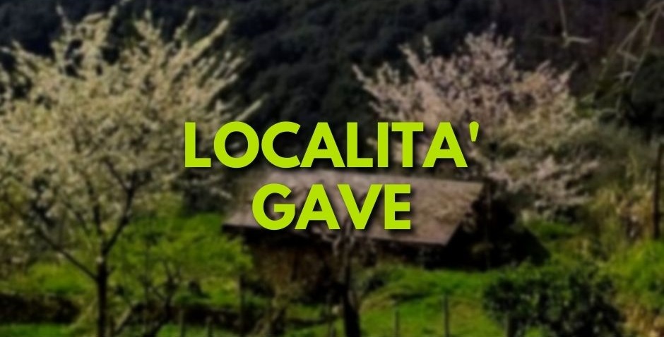 Gave, Monte di Portofino, Santa Margherita Ligure