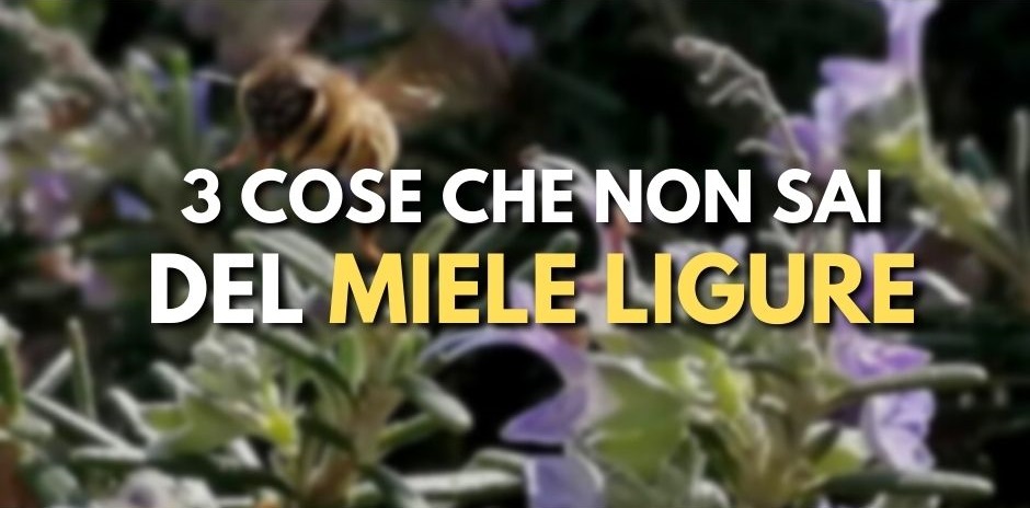 Miele Ligure