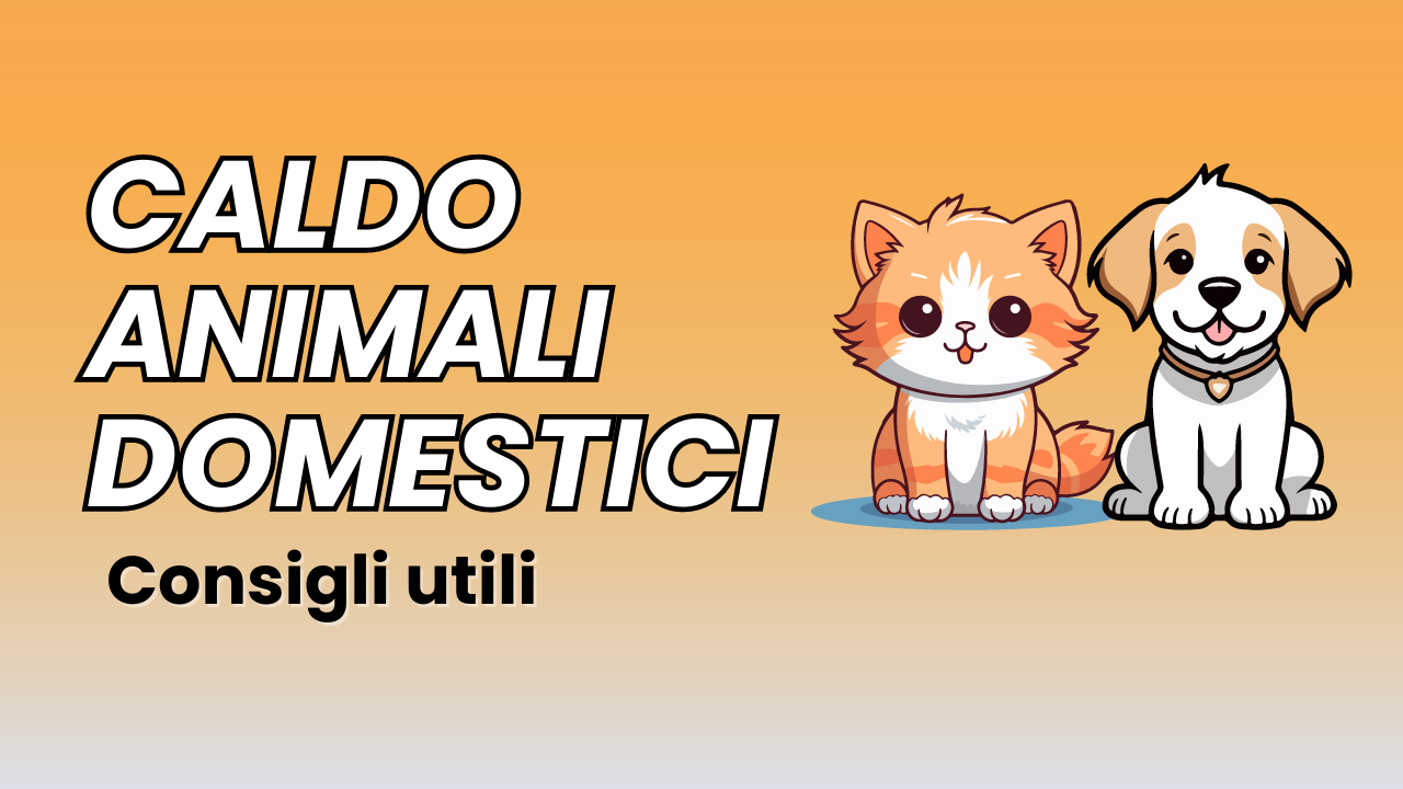 Caldo animali domestici – Consigli utili per i nostri animali